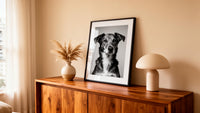 AIMO editorial dog portrait